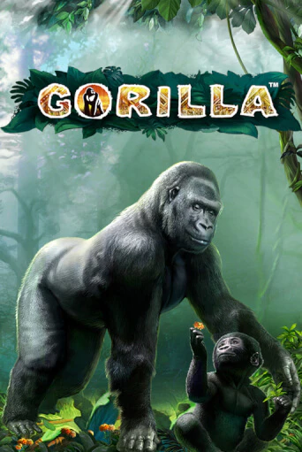 Бесплатная демо игра Gorilla | Джой Казино без регистрации